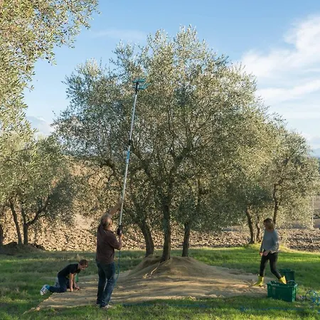 Borgo La Pievina - Pool Villa Palazzina (Tuscany)
