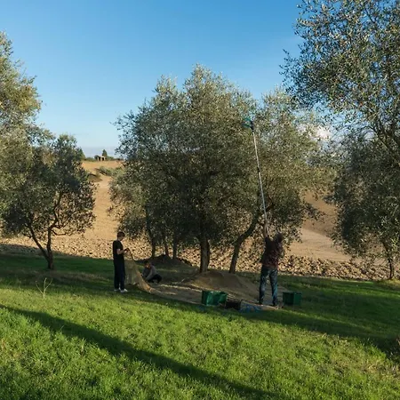 Borgo La Pievina - Pool * Palazzina (Tuscany)