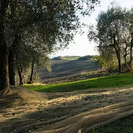 Borgo La Pievina - Pool Palazzina (Tuscany)